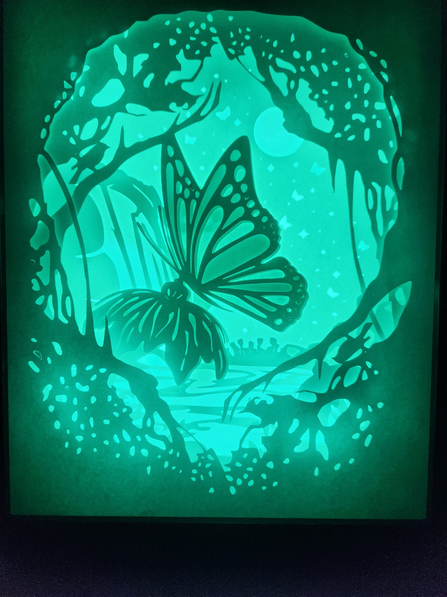 Shadow box