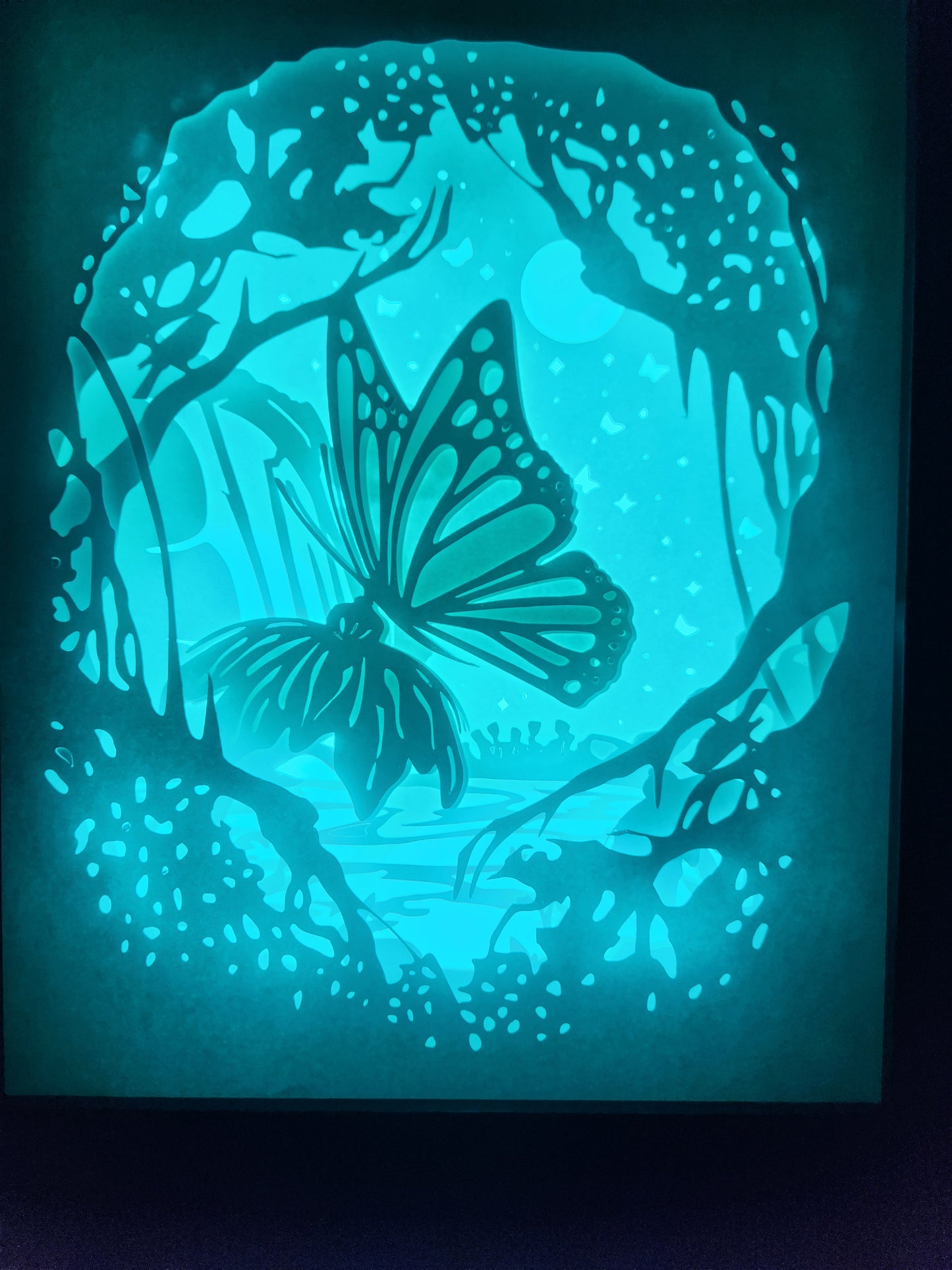 Shadow box