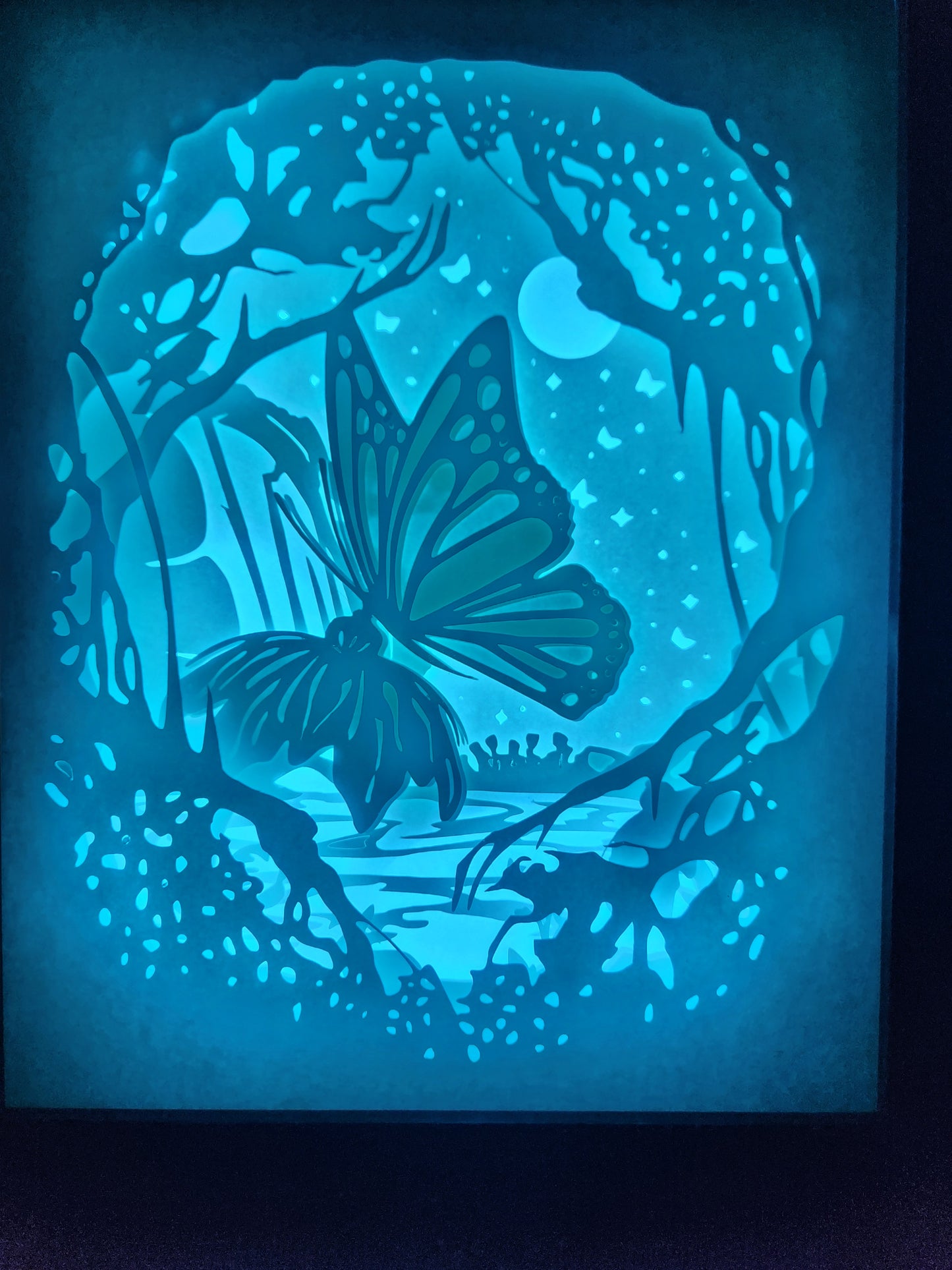 Shadow box