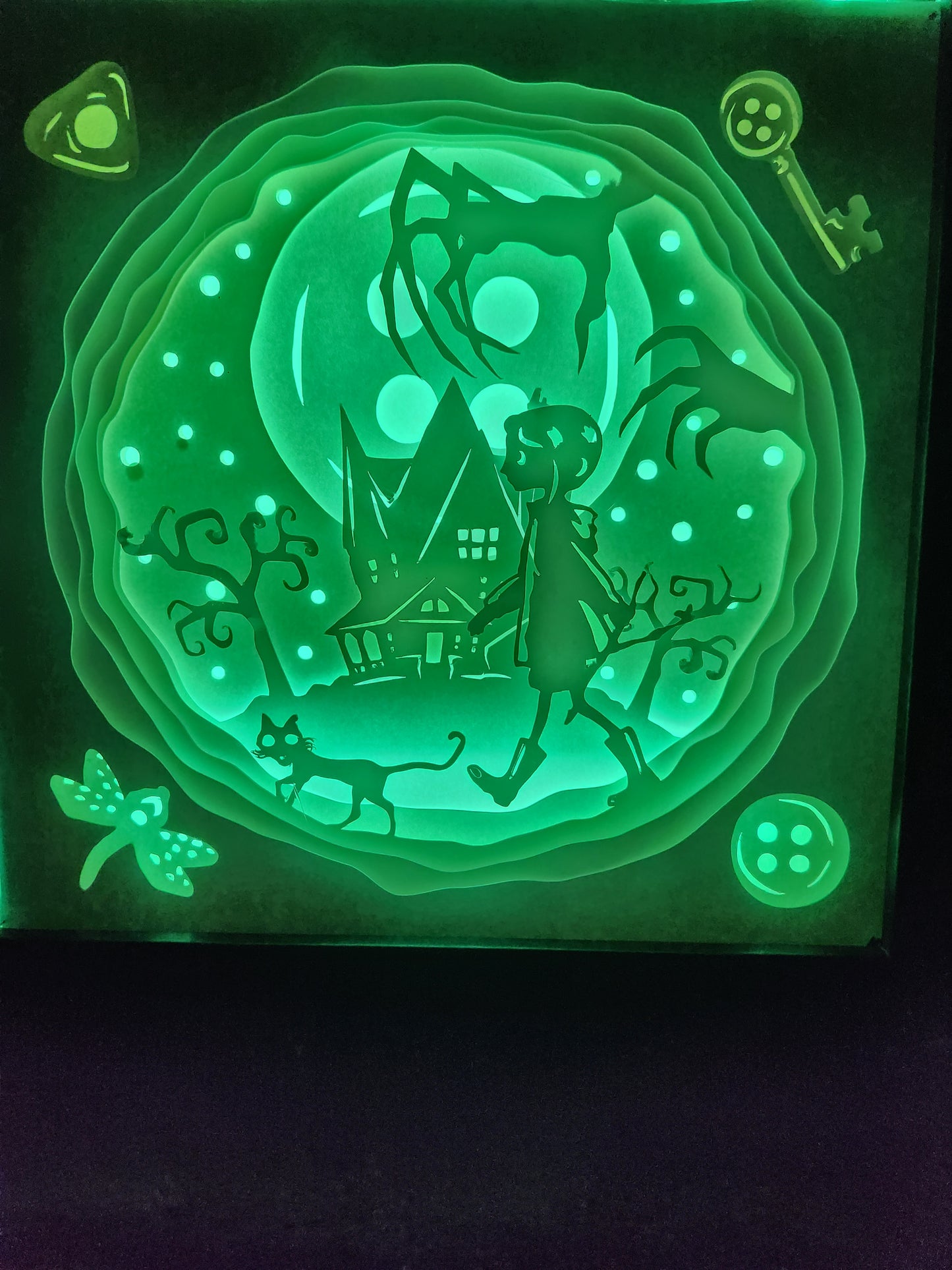 Shadow box